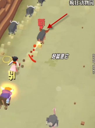 疯狂动物园