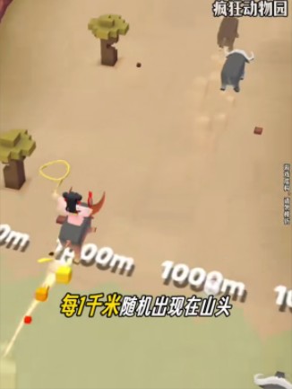 疯狂动物园