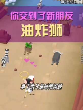 疯狂动物园