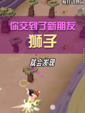 疯狂动物园