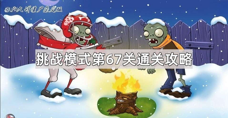 植物大战僵尸杂交版挑战模式第67关通关攻略