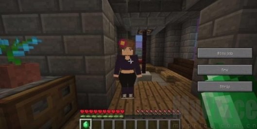 珍妮冒险6.0