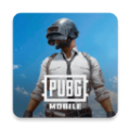 pubg2025最新版本3.8