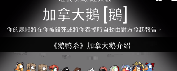 鹅鸭杀加拿大鹅介绍