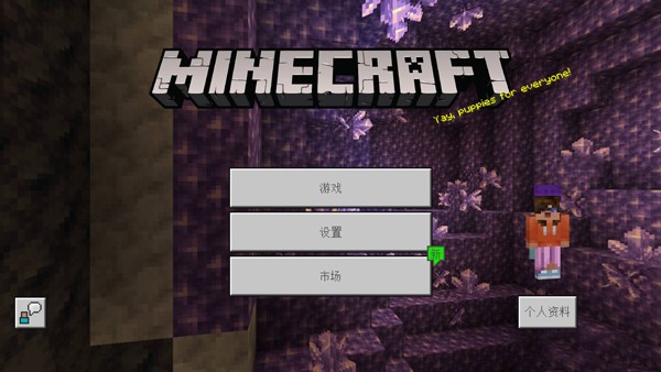 我的世界2D版图片2
