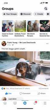facebook国际版