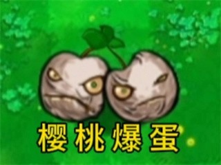 植物大战僵尸逆天版
