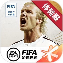 FIFA足球世界