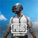 刺激战场国际服pubg