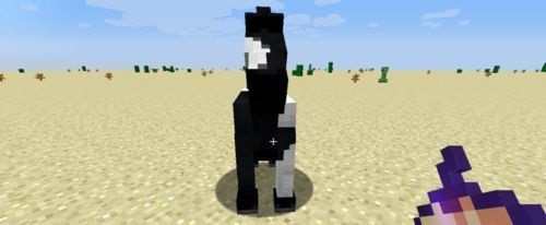 我的世界国际版