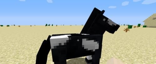 我的世界国际版