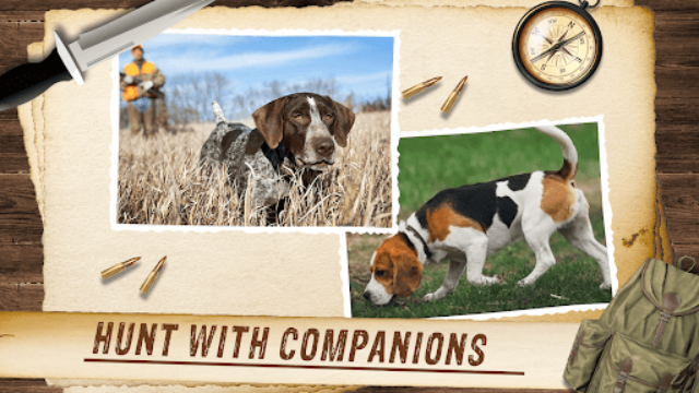 野生动物狩猎模拟器