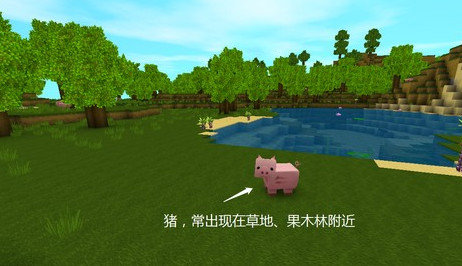 迷你世界海洋版本