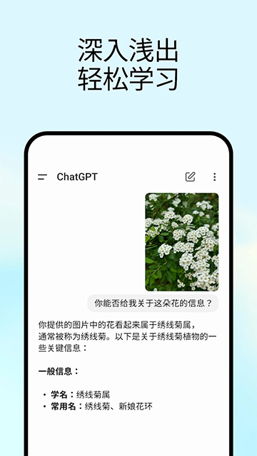 ChatGPT中文版
