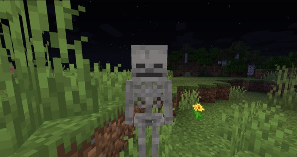 我的世界基岩版1.21.50