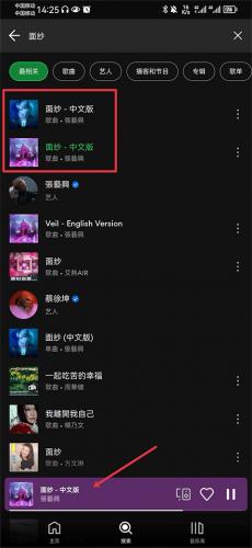 Spotify歌曲播放界面
