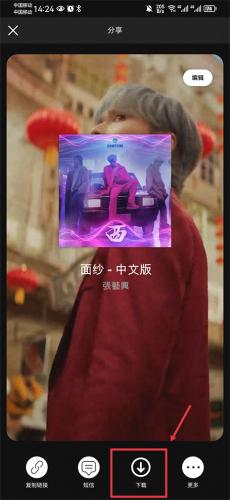 Spotify下载功能选项