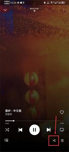 Spotify更多选项按钮