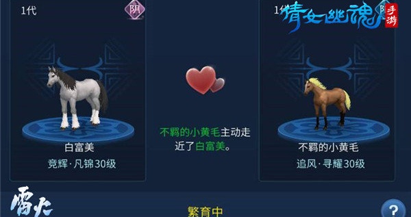 倩女幽魂网易版