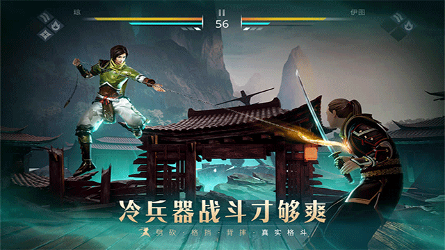 暗影格斗3中文版