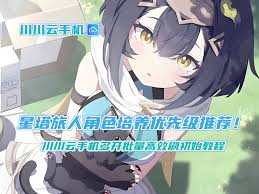 未来人生纳罗迪亚许可证有什么作用