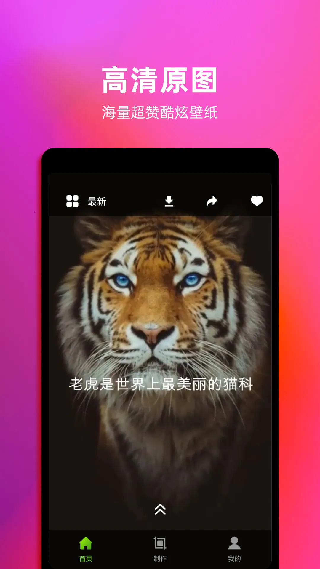 Live动态壁纸(壁纸应用)官方最新版