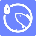 Rains浏览器版