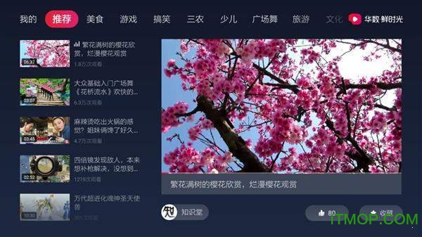 华数鲜时光2026年最新版