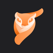 Pixaloop专业手机正版