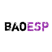 baoesp2.2.0卡密版