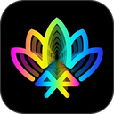 宝莲灯proapp